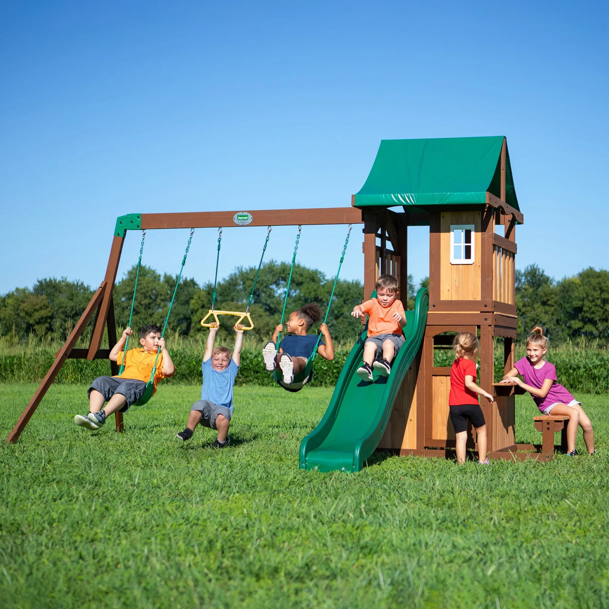 Backyard Coating Lakewood Swing Set